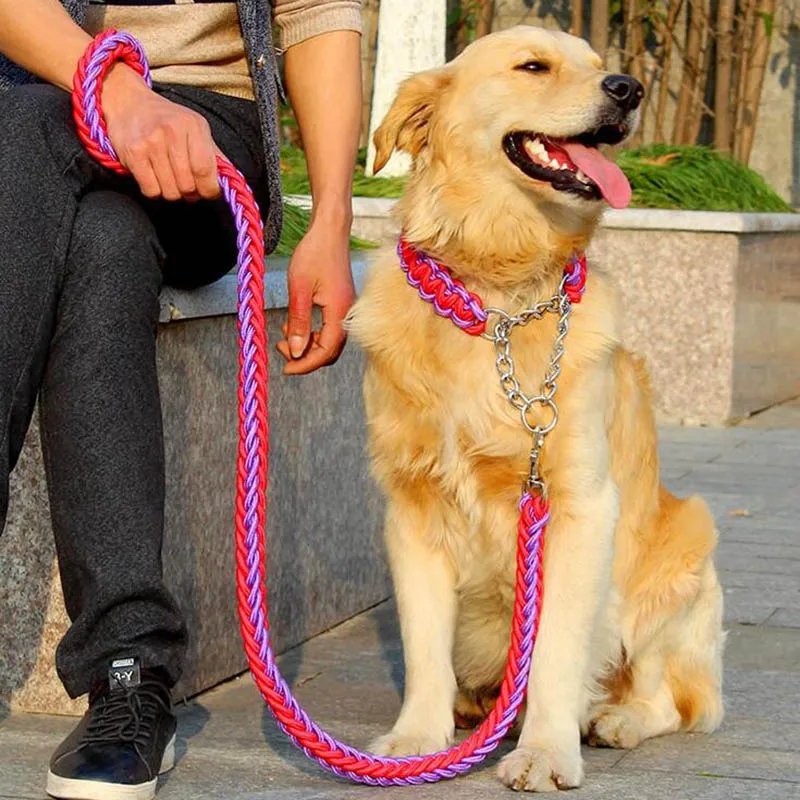 

1 set Big Pet Dedicated Dog Leash And Collar Strands Plaited Rope Dogs Collars Leashes Chain Strong For Large Dogs Animals