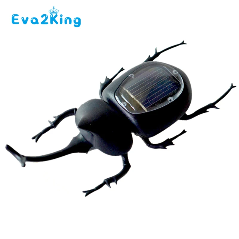 dung beetle toy