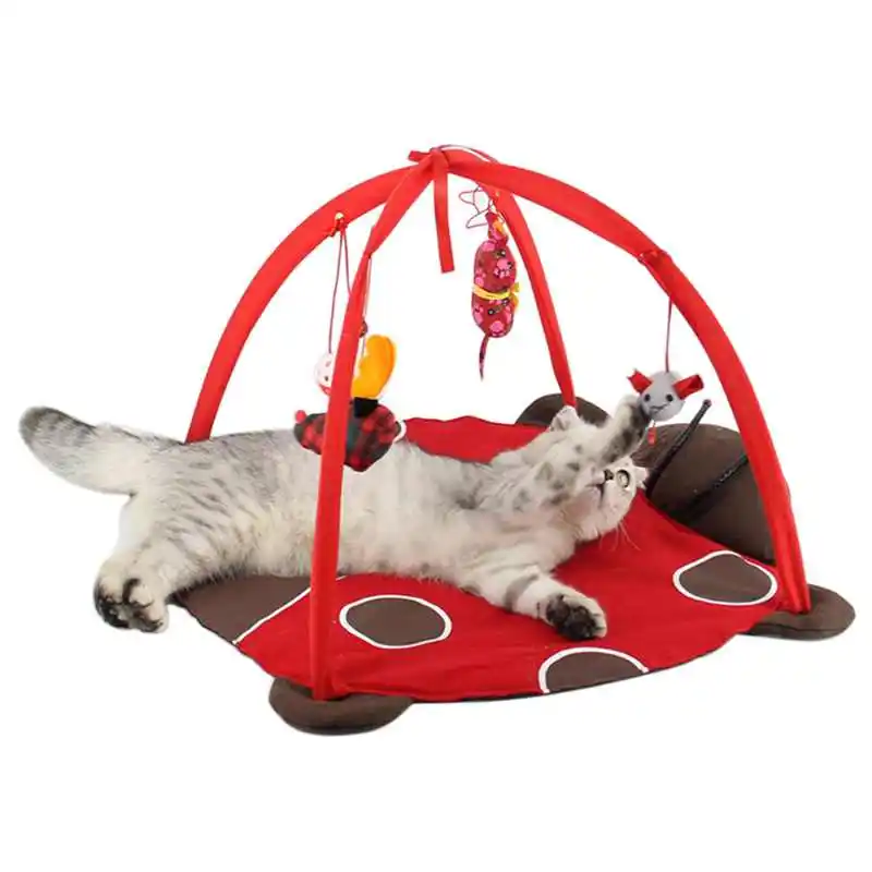 

2018 Cat Toys Small Cute Pet Cat Beds Mats Traing Tortorise Pet Cats Bed Toys Mobile Activity Playing Bed Toys Pad Blanket House