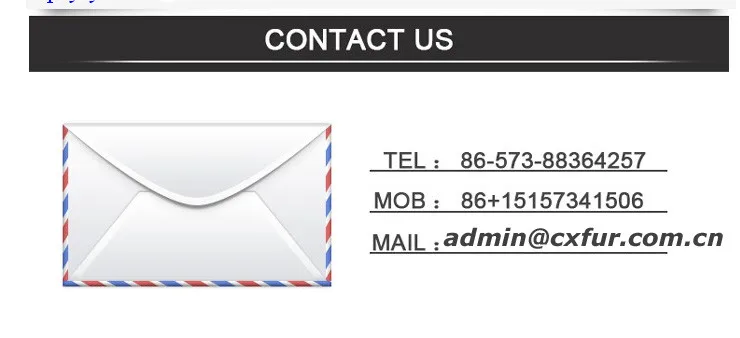 contact