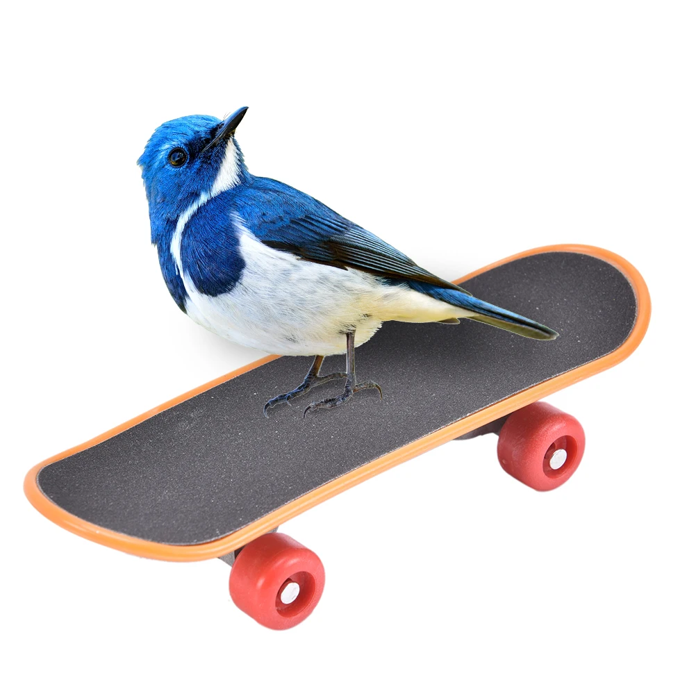 Пластиковый скейтборд для обучения птиц, скраб для скутера, скейтбординг для маленьких попугаев, домашних животных, птиц, забавные игрушки для домашних животных, мини-скейтборд