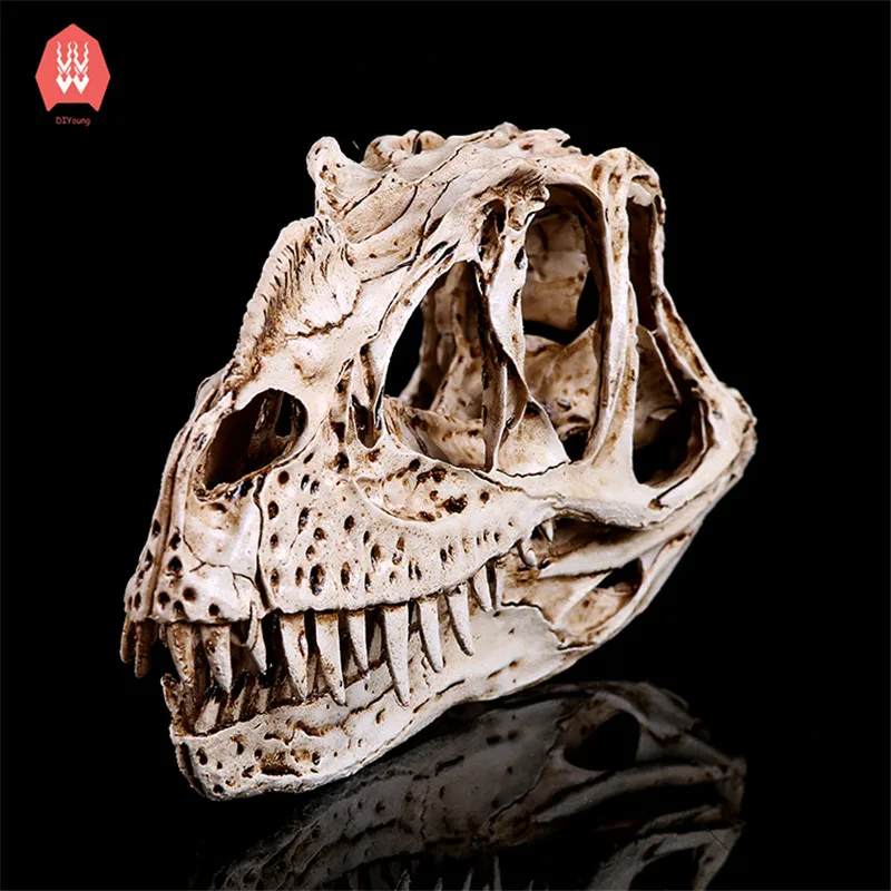 Смола череп динозавра Скелет голова Фигурка Скульптура Ceratosaurus ремесло статуи