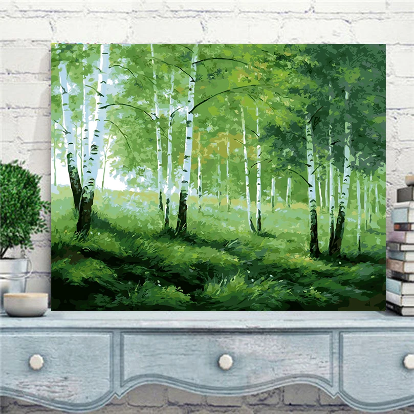 

2017 new Green birch tree new oil painting by numbers hand painted canvas coloring by numbers home decor pictures gift RS-34