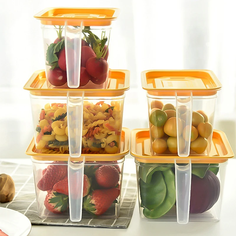 food storage box with handle