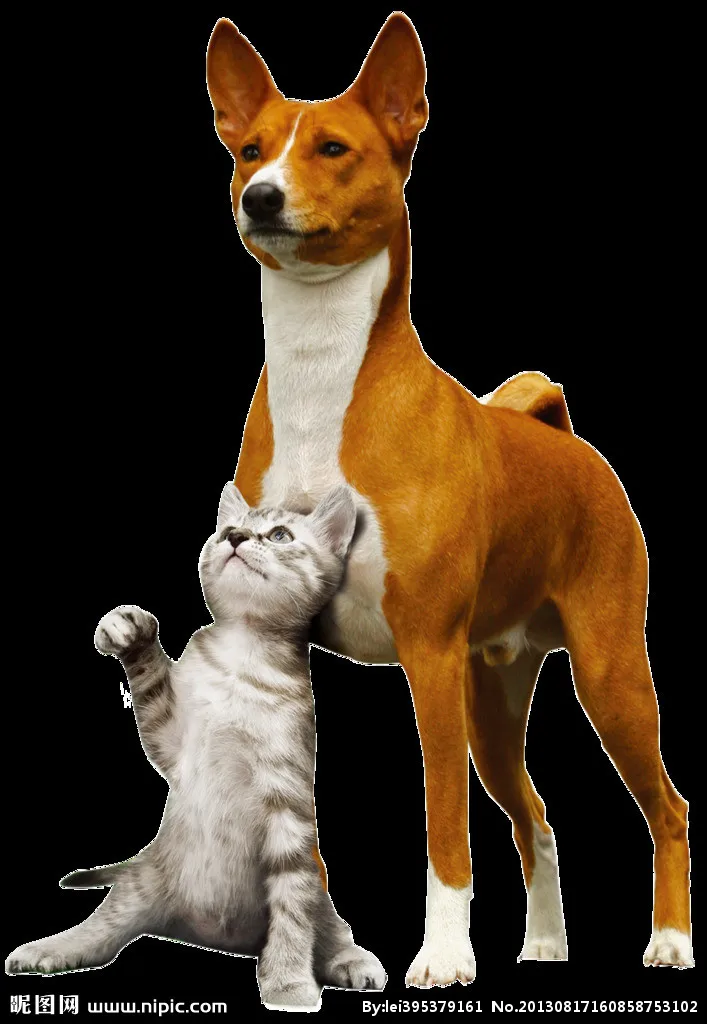 

sda