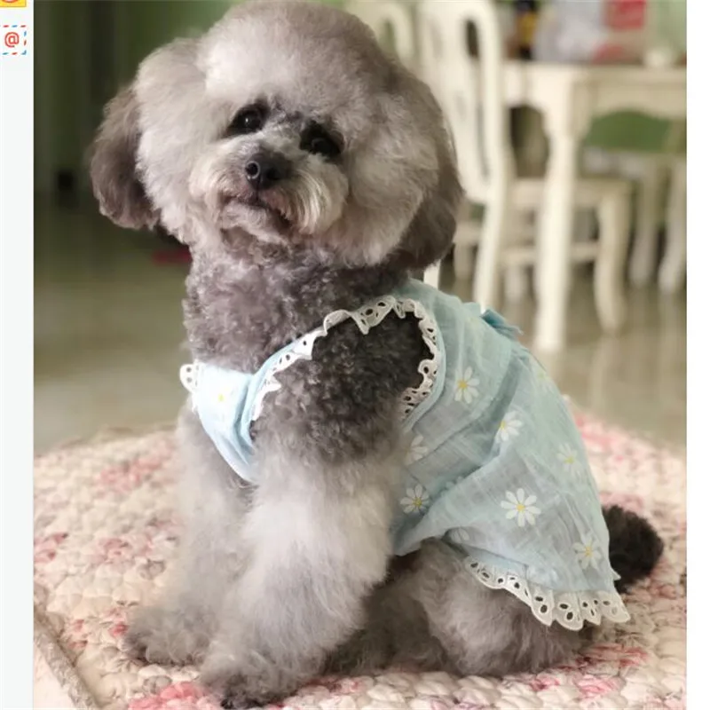 laço arco-nó colete estilo saia outfit chihuahua poodle pug