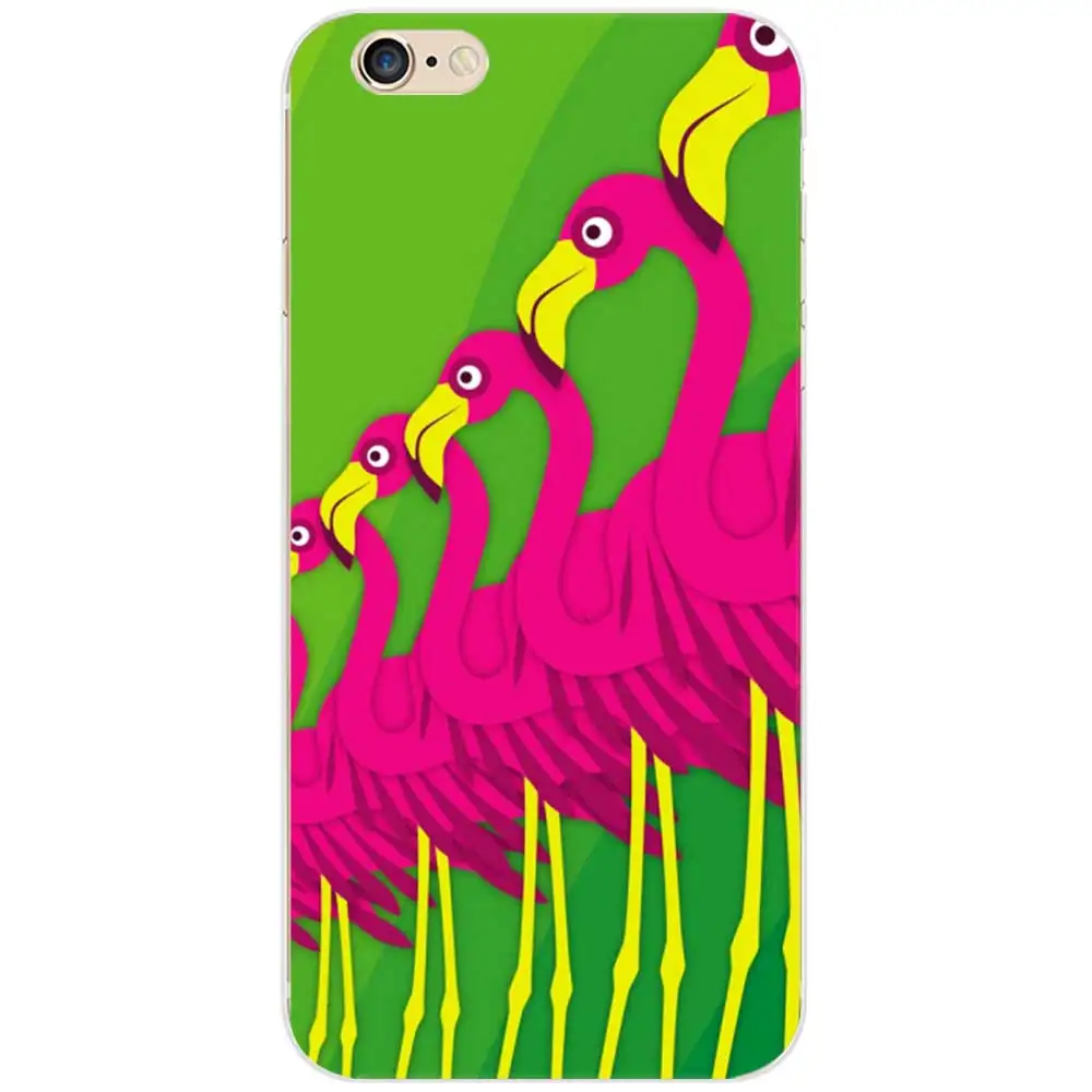 flamingos42