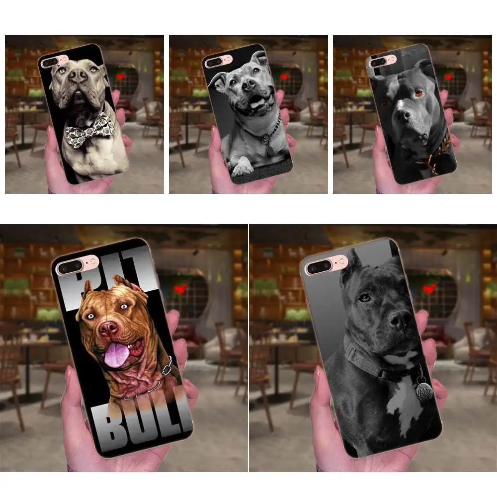 

Pit Bull Dog Pitbulls For Galaxy J1 J2 J3 J330 J4 J5 J6 J7 J730 J8 2015 2016 2017 2018 mini Pro Soft Mobile Phone Cases
