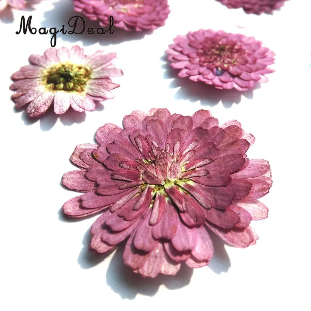 10x Pressed Real Dried Flower Dry Leaves for DIY Crafts Bookmark Card Making	