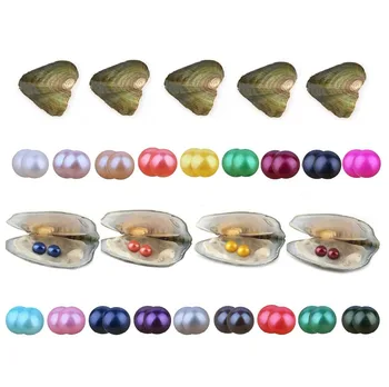 

Twin Pearls Oyster, Wholesale Freshwater Cultured Love Wish Pearl Oysters with Twin Round 6.5-7.5 mm Pearls Inside (10 PCS/lot)