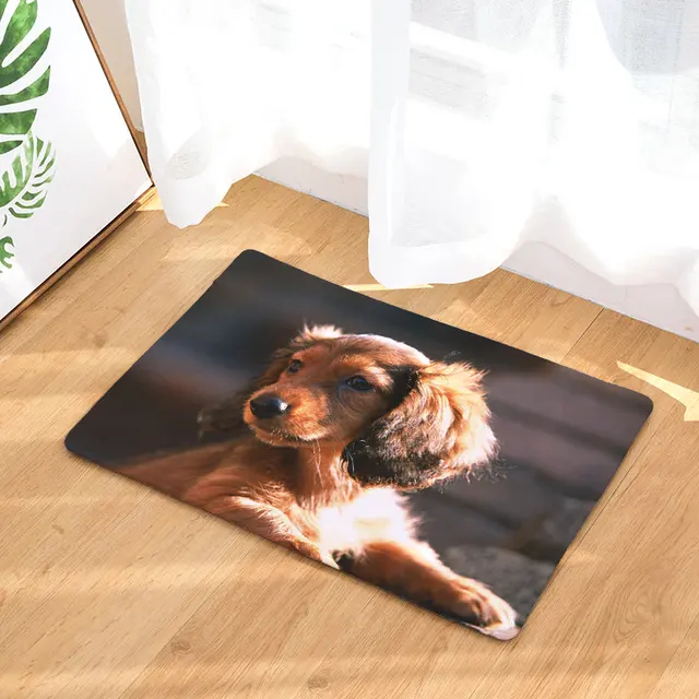 2017 New Dog Print Carpets Non slip Kitchen Rugs for Home Living Room