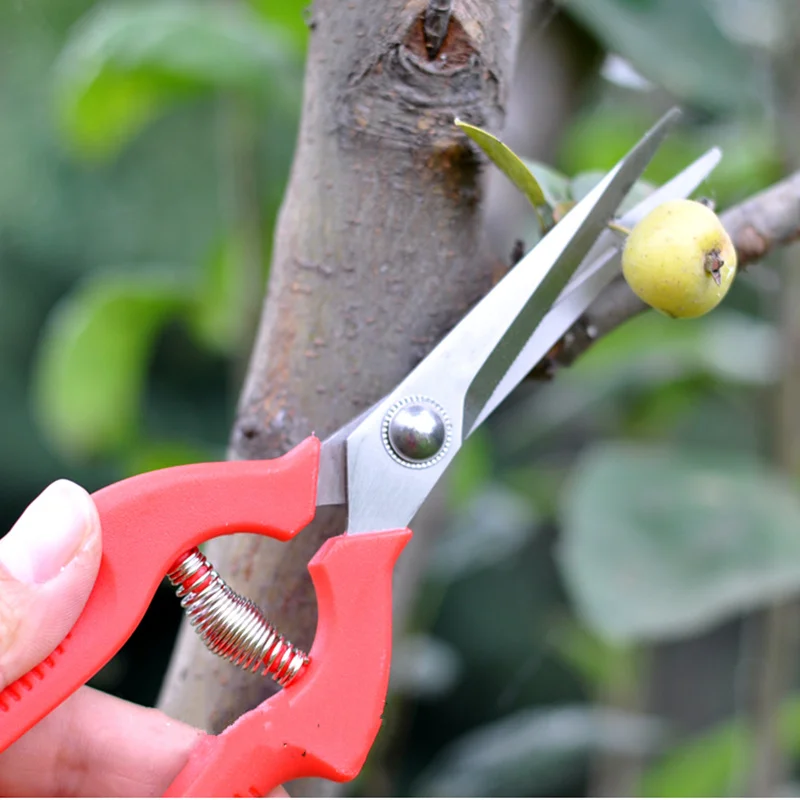 Ножницы из нержавеющей стали для фруктовых деревьев секаторы теплица для растений ножницы для цветов инструменты для садовых ножниц Бонсай инструменты
