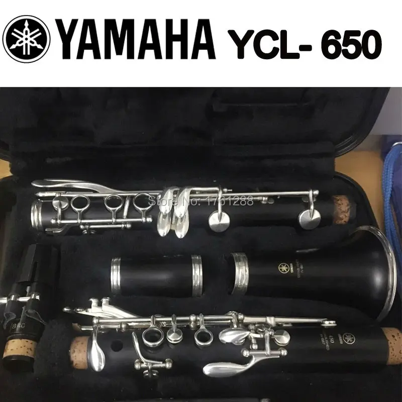 Free Shipping Brand New Japan YCL 650 Bb Student Model