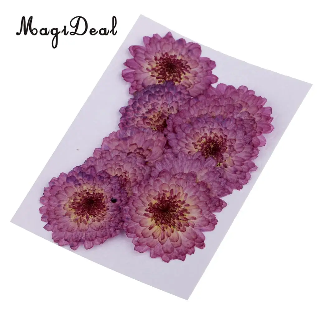 20pcs Real Dried Flowers Pressed  Chrysanthemum for Wedding Decoration Scrapbooking DIY Arts Crafts Floral Decor