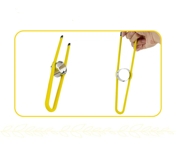 3274746095_752036824