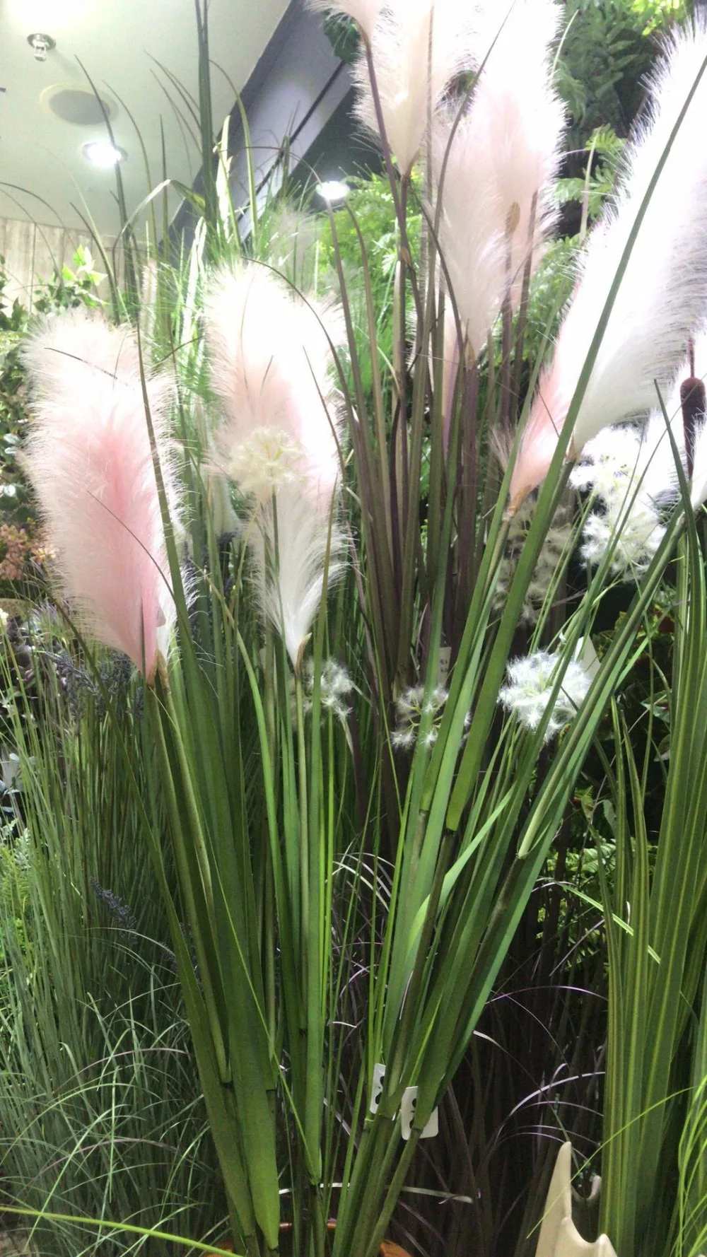 QQ20180818081302