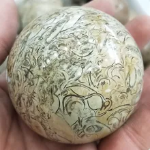 40-60 мм натуральная оболочка Fossil sphere Fossil seashells образец Глобус шар камни и минералы рейки целебные домашний декор