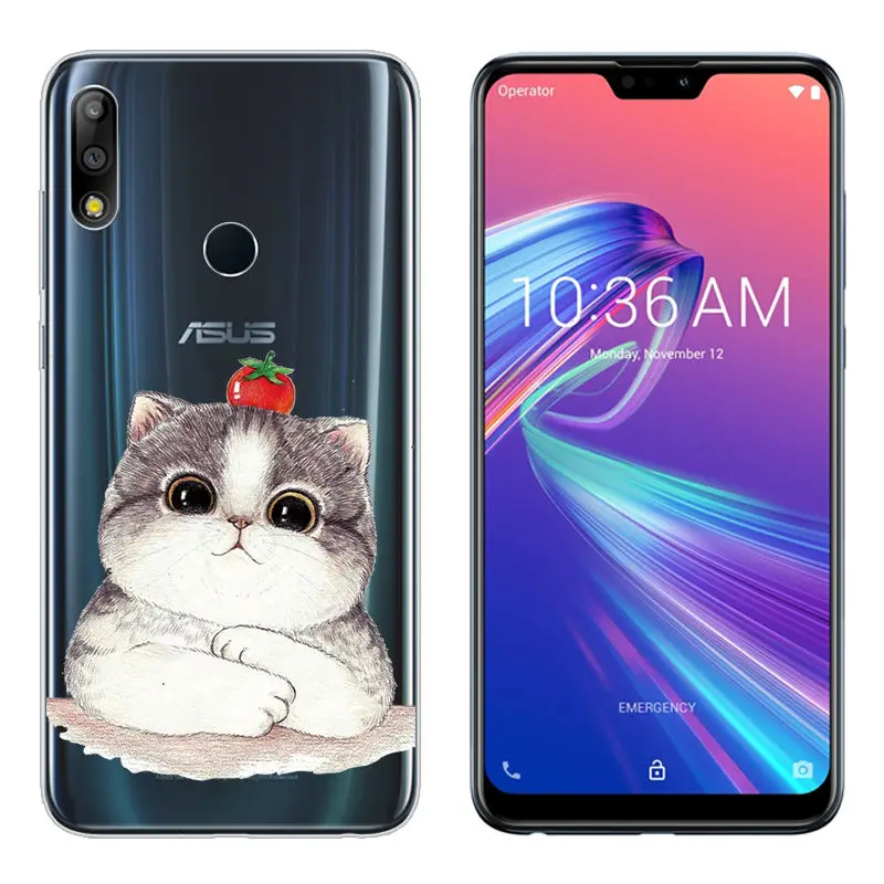 Soft TPU Case For Asus Zenfone Max Pro M2 ZB631KL Silicone Zenfone Max M2 ZB633KL Cover Transpatent ZB 631KL Fundas ZB633 KL Bag (32)