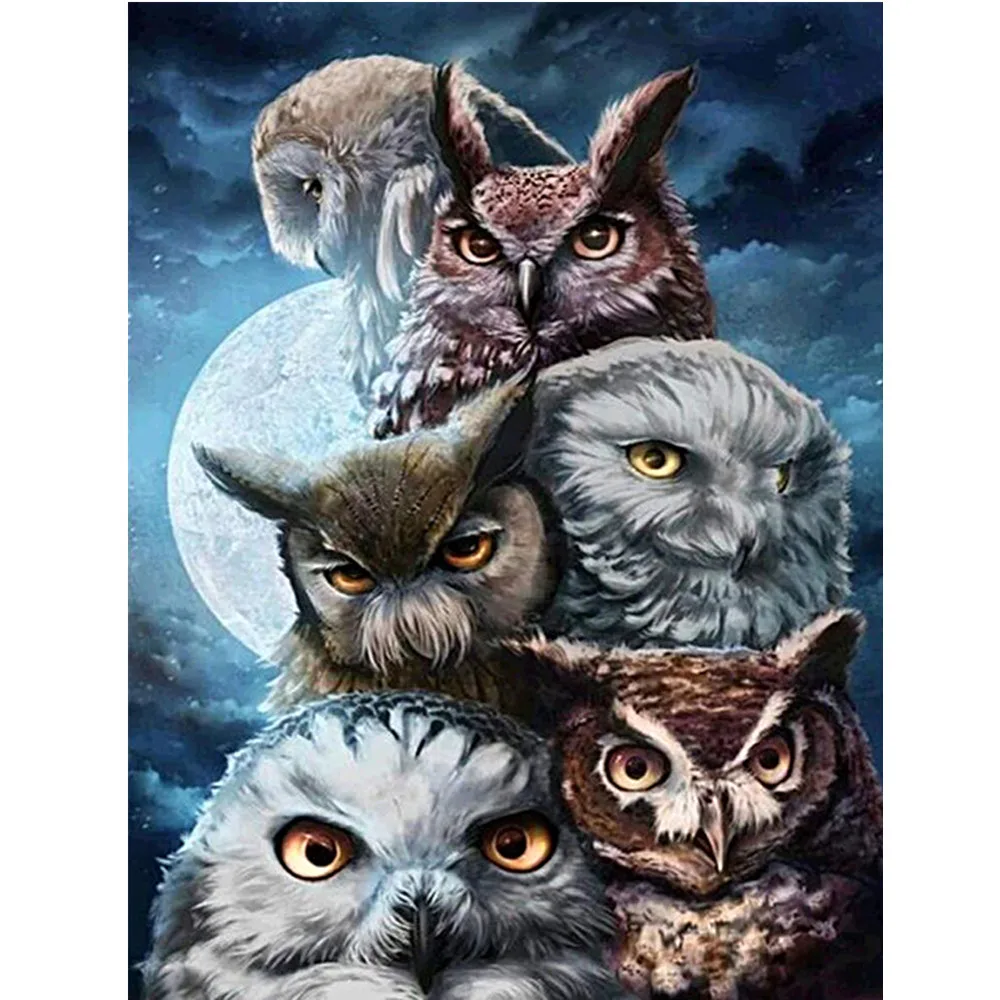 Special Shaped animal ,Owl ,Scenery, Diamond Painting Full Square