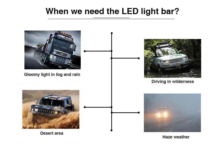 D_08