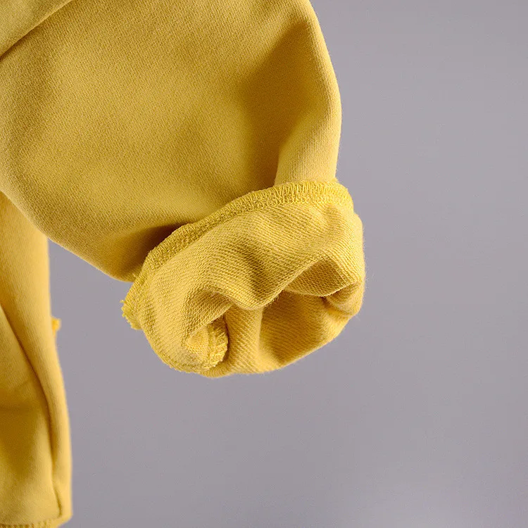 Meninos e Meninas Fora do Velo Novo Outono Pano Cabolsa Gola Hoodie Crianças Carta Manga Longa Topos Roupas 2020 9 Mamãe e Bebê
