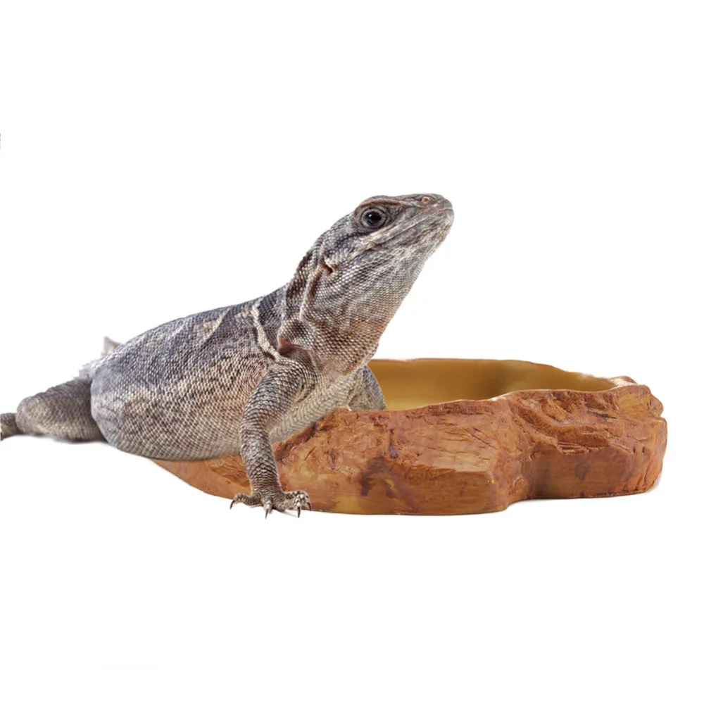 Pet Lizard Food Pet Lizard Food