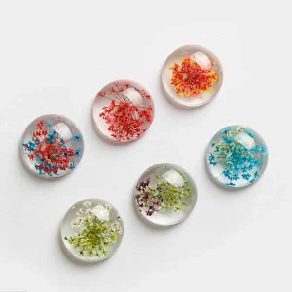 Newest 6PCS (1 Set) Creative Real Flower Resin Fridge Fantasy