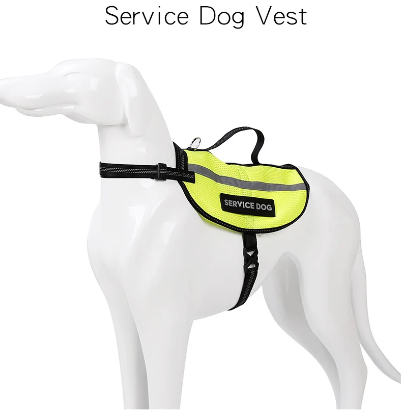 PD20025Service_01