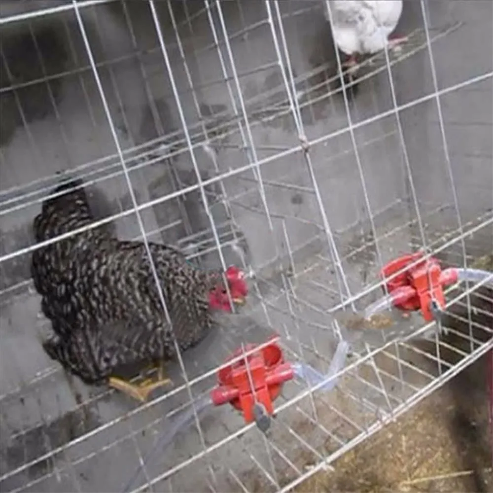 5Pcs Poultry Automatic Water Drinking Cups Bird Feed Coop Chicken Fowl Drinker Farm Animal Supplies