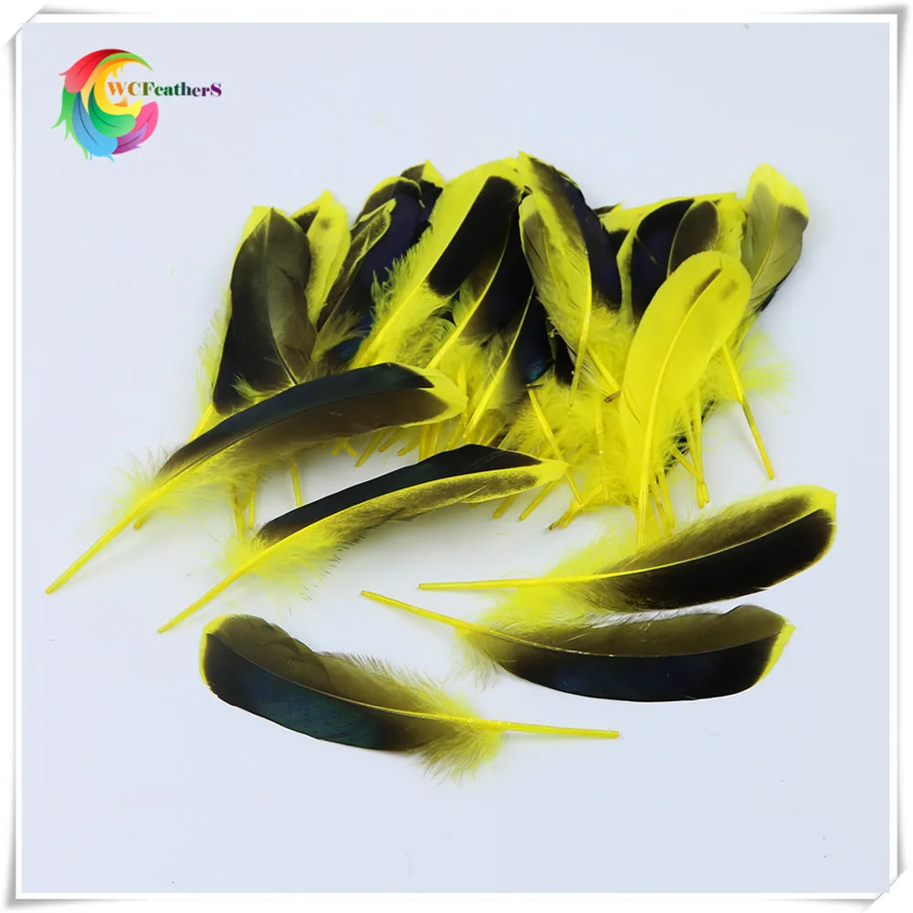 5 yellow duck feather 2