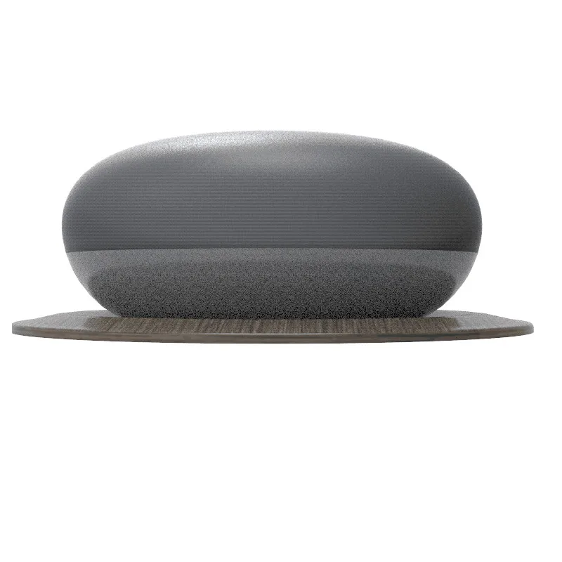A303_2_Google Home Mini