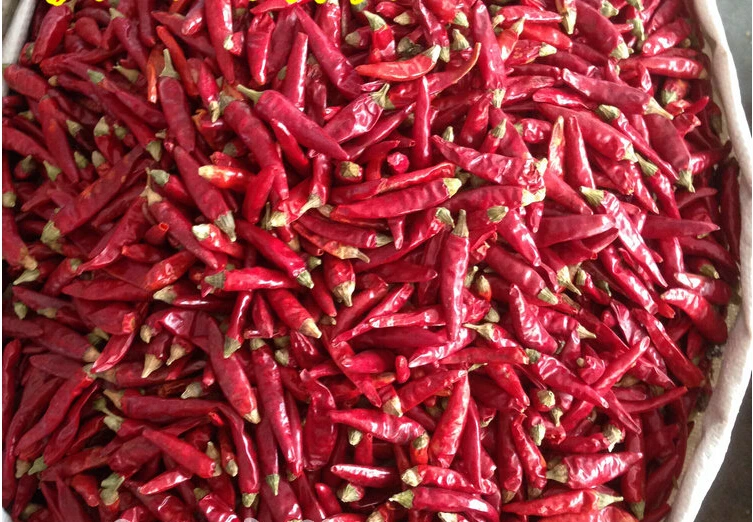Chinese Special 100g Native Sichuan Millet Peppers Cool Heart Dried