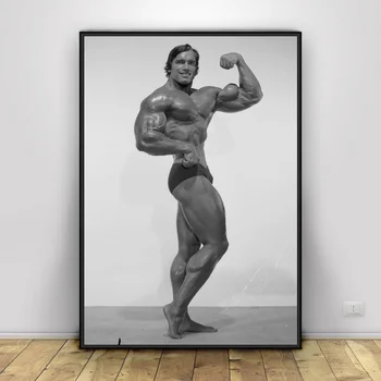

Arnold Schwarzenegger Art Silk Poster Home Decor 12x18 20x30inch