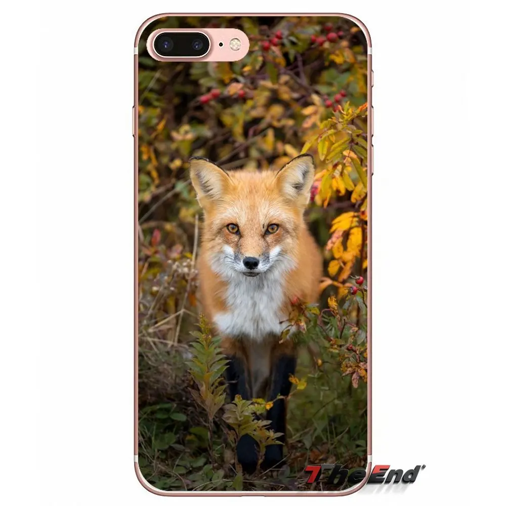 Милый чехол для телефона из мягкого ТПУ с изображением лисы iPhone X 4 4S 5 5S 5C SE 6 6S 7 8 Plus