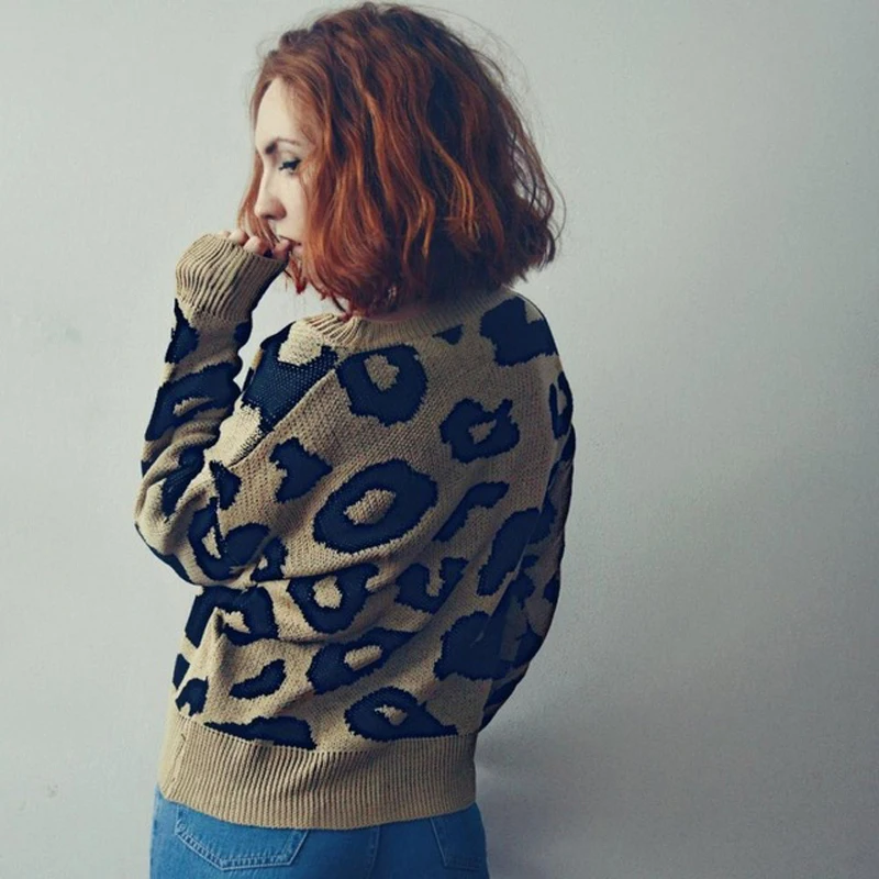Streetwear Leopard Print Sweater Women 2018 Autumn Winter Fashion Long Sleeve Befree Knitted Sweaters and Pullovers For Ladies