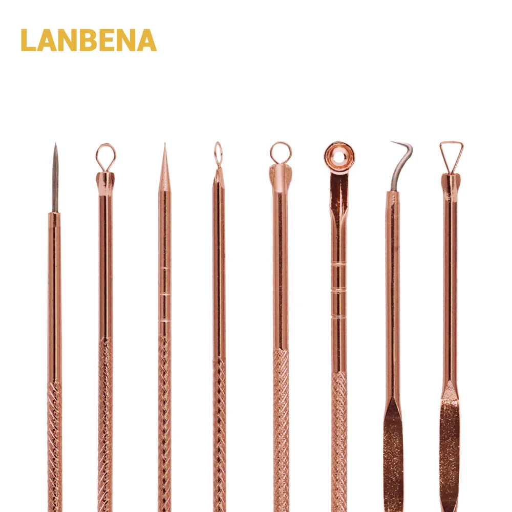 

4pcs/set LANBENA Brand Metal Skin Care Tools Blackhead Remover Pore Cleaner Acne Removal Cleanser Facial Rose Gold Remover Tool