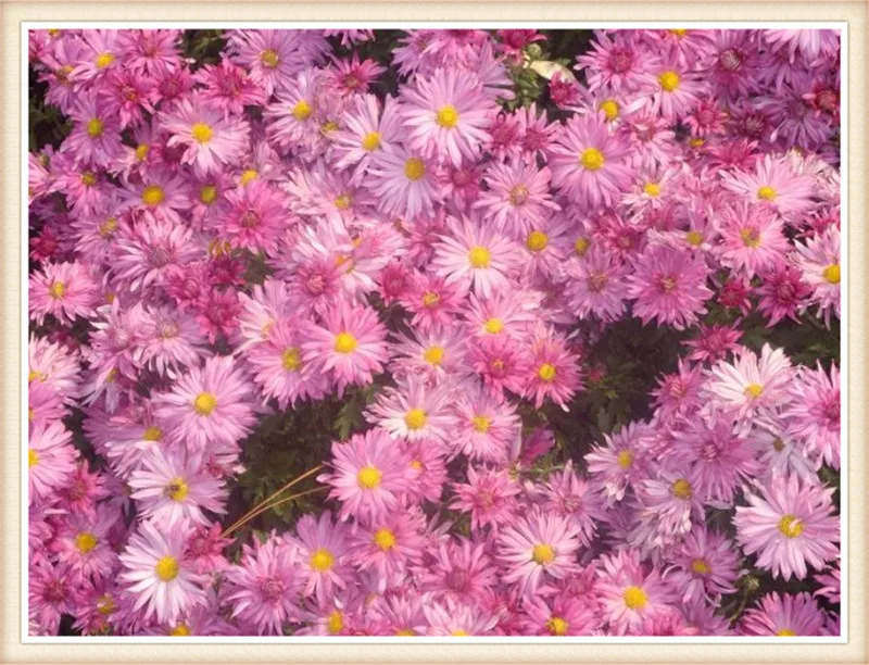 600bdceetcc0f4abc0ab5&690