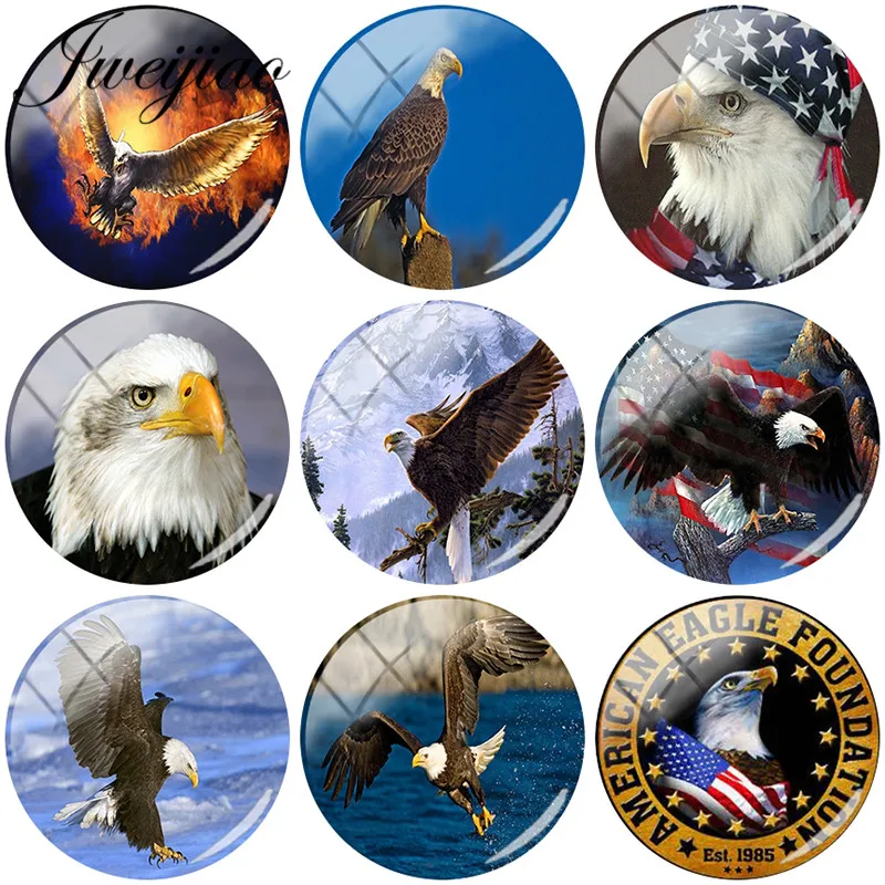 

JWEIJIAO Eagle Art Picture DIY Glass Cabochon Round Dome Jewelry Findings For Pendant Earrings Bracelet Necklace