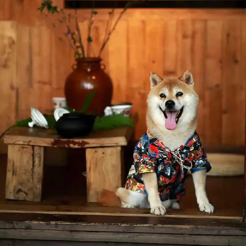 Fashion Japan Kimono Shirt For Dogs Puppy Shirt Shiba Inu Summer T Shirt Pet Dog Clothes Bulldog Pets Clothing Costume Gzc10