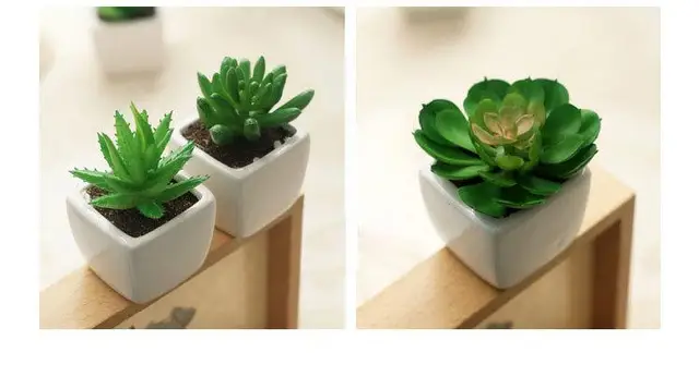 1pc Furnishings Green Artificial Plant Bonsai Fashion Small 1pc Furnishings Green Artificial Plant Bonsai Fashion Small Succulent Plants Creative Wedding Decorations Flowers With Pot