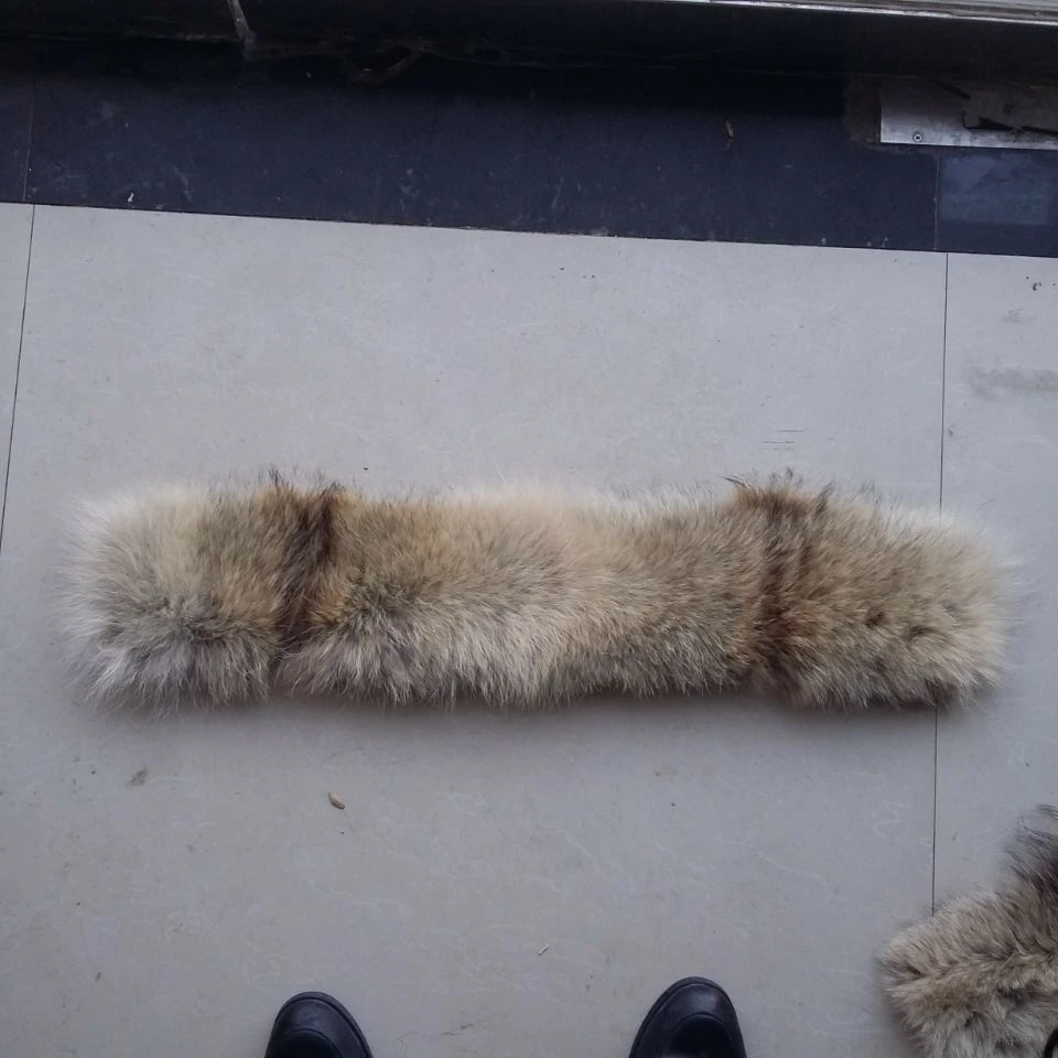 

65*8 cm Real coyote fur collar trimming / Real fur hood strips for jacket coat