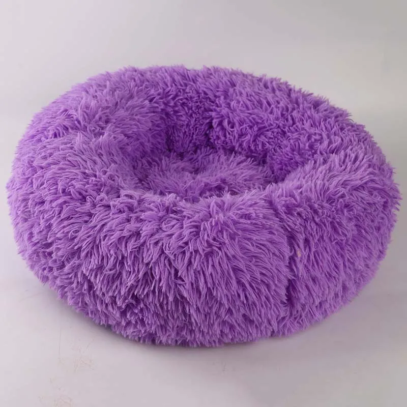 Bys03_Purple