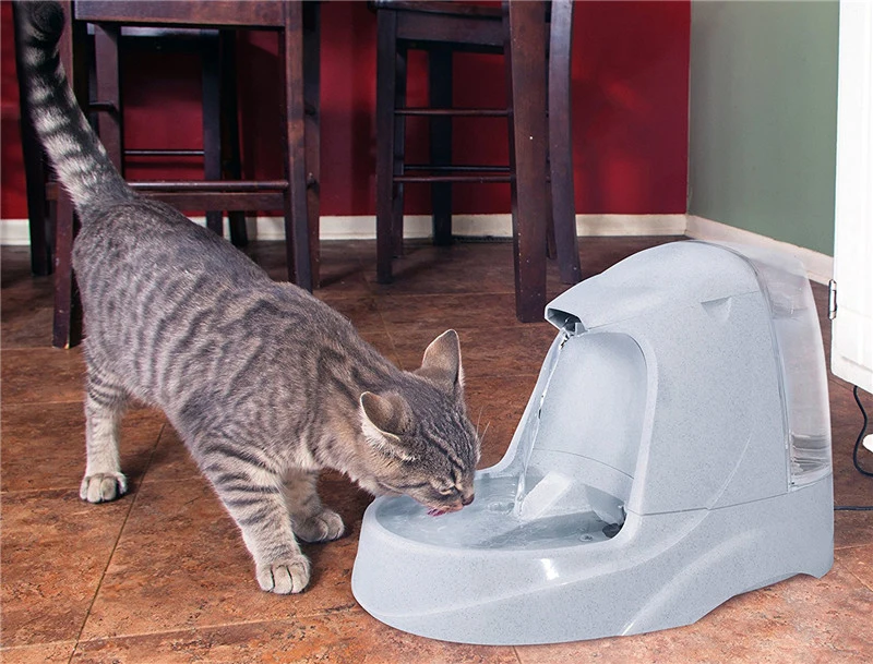 Pet Fountain06
