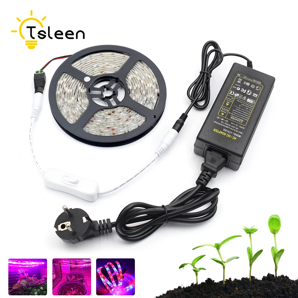 

TSLEEN Phyto LED Grow Strip Light 1M 2M 3M DC12V 5050SMD Red+Blue IP65 Waterproof Growth Light Set with Power Adapter and Switch