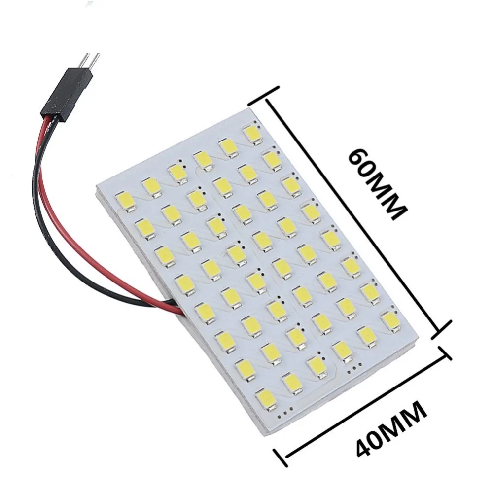 NL0019A (9)