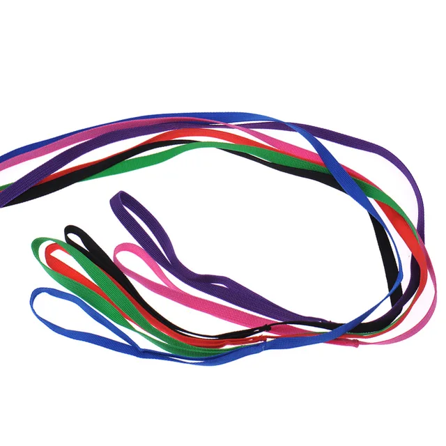 6colors pack slip lead pet dog collar leash dog grooming kennel