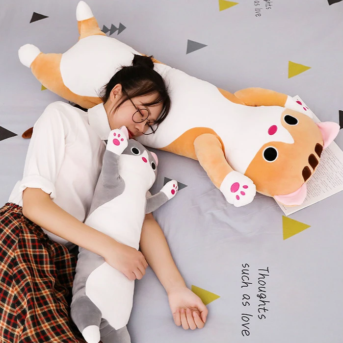 cat hugging pillow