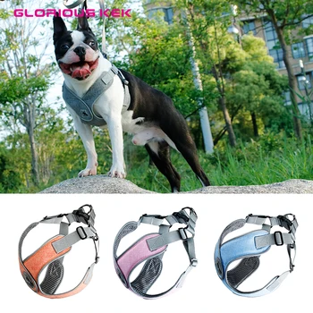 

GLORIOUS KEK Dog Harness Choke Free X Step-In Soft Mesh Pet Harness 3M Reflective Dog Harness and Leash Set for Small Medium Dog