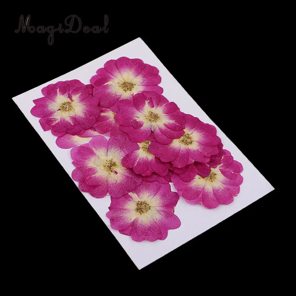 12 Pieces Chinese Rose Pressed Natural Dried Flower for DIY Resin Ornament Candle Making Decoration Purple 3-4cm