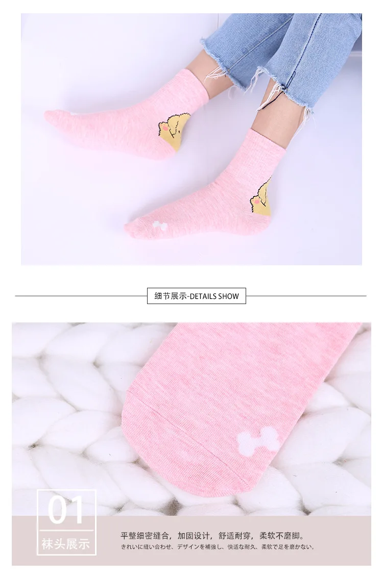 8577628072_259698019